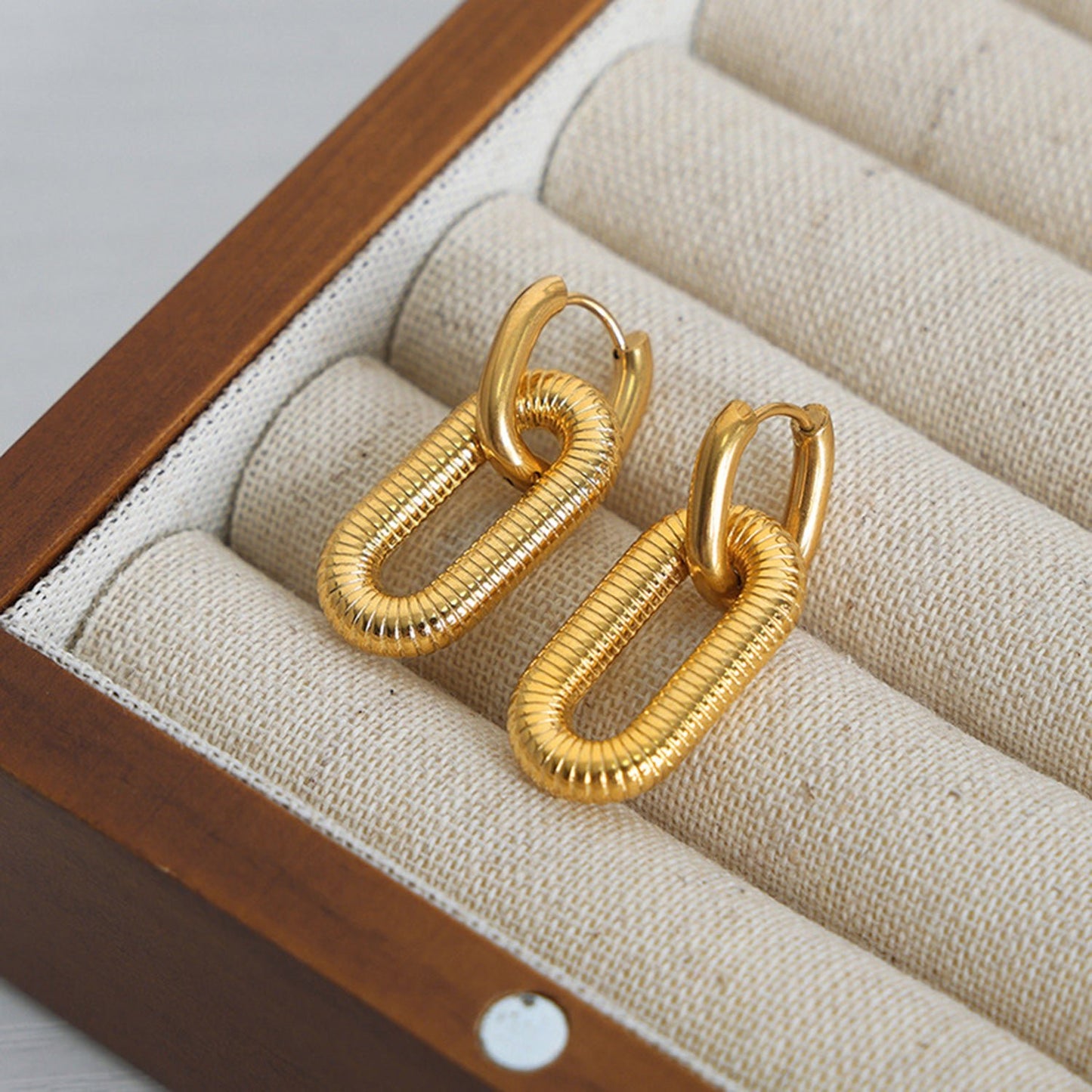 Titanium steel Dangle Earrings - Avek Brand